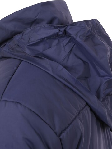 LEVI'S ® Wintermantel 'Peacoat'‌‌‌‌ in Blau