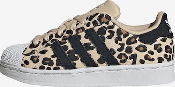 smėlio ADIDAS ORIGINALS Sportbačiai 'Superstar II': priekis