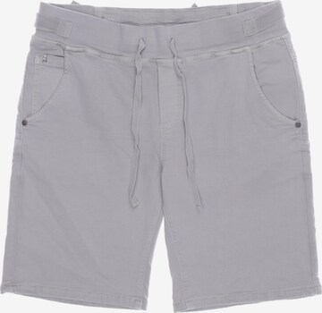 Frieda & Freddies NY Shorts in L in Grey: front