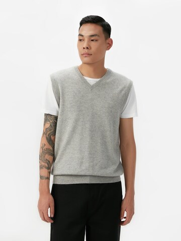 GOBI Cashmere Liivi 'Men's Essential V-Neck Cashmere Vest' värissä harmaa: etupuoli