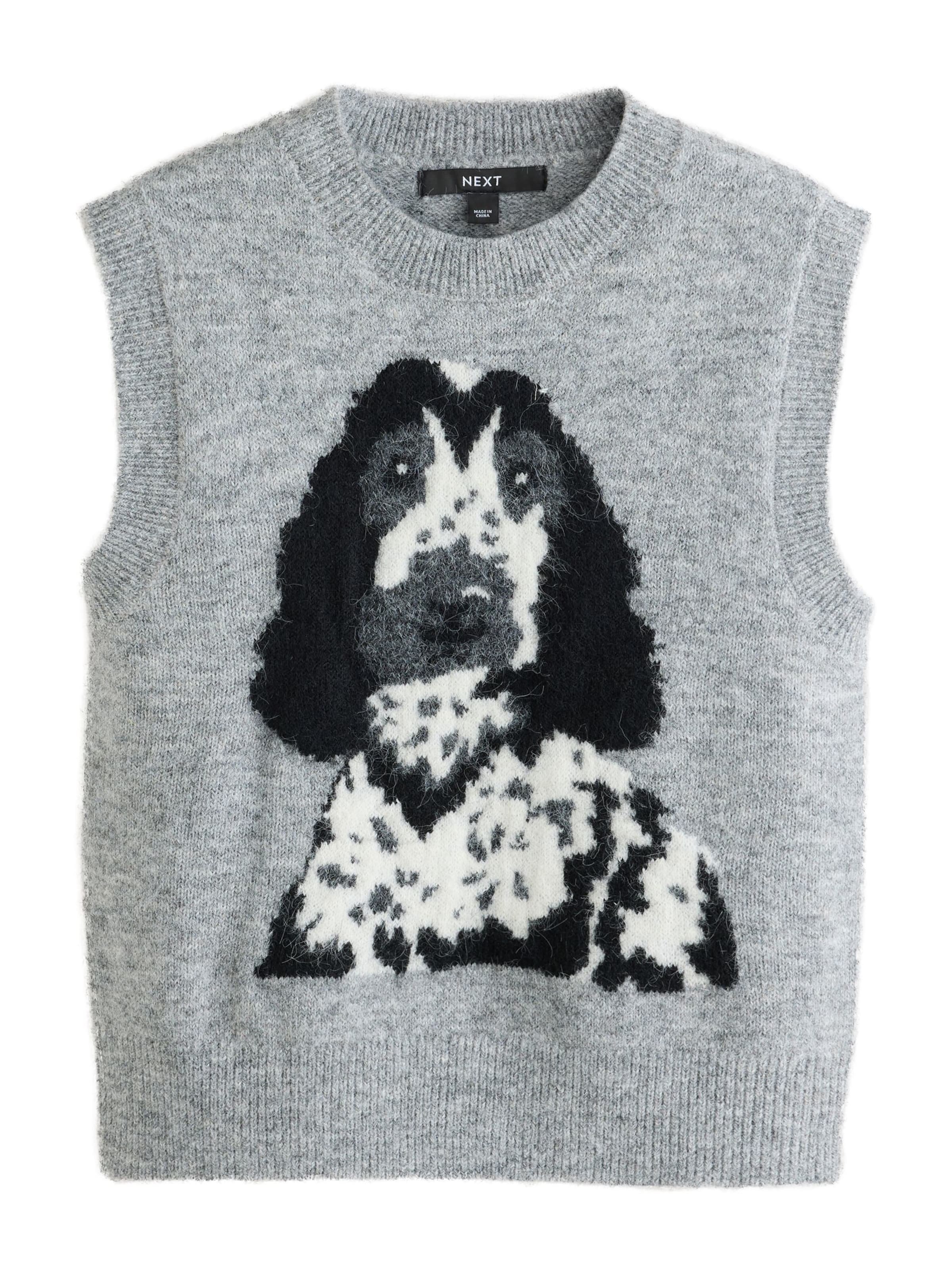Pull-over Next en gris : devant