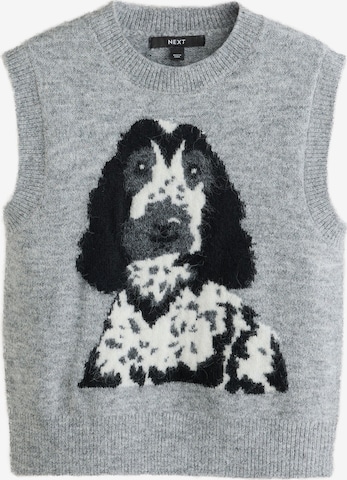 Pullover di Next in grigio: frontale