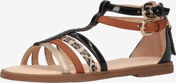 GEOX Sandalen in Bruin: voorkant