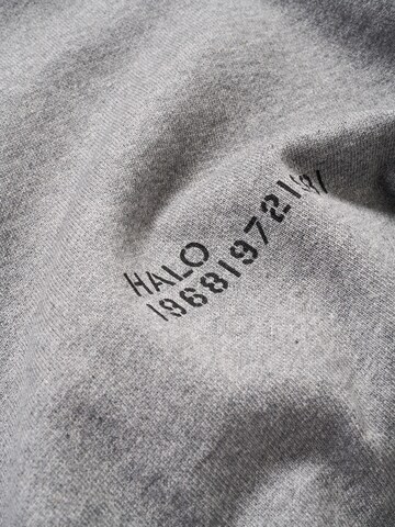 HALO Sweatshirt in Grijs