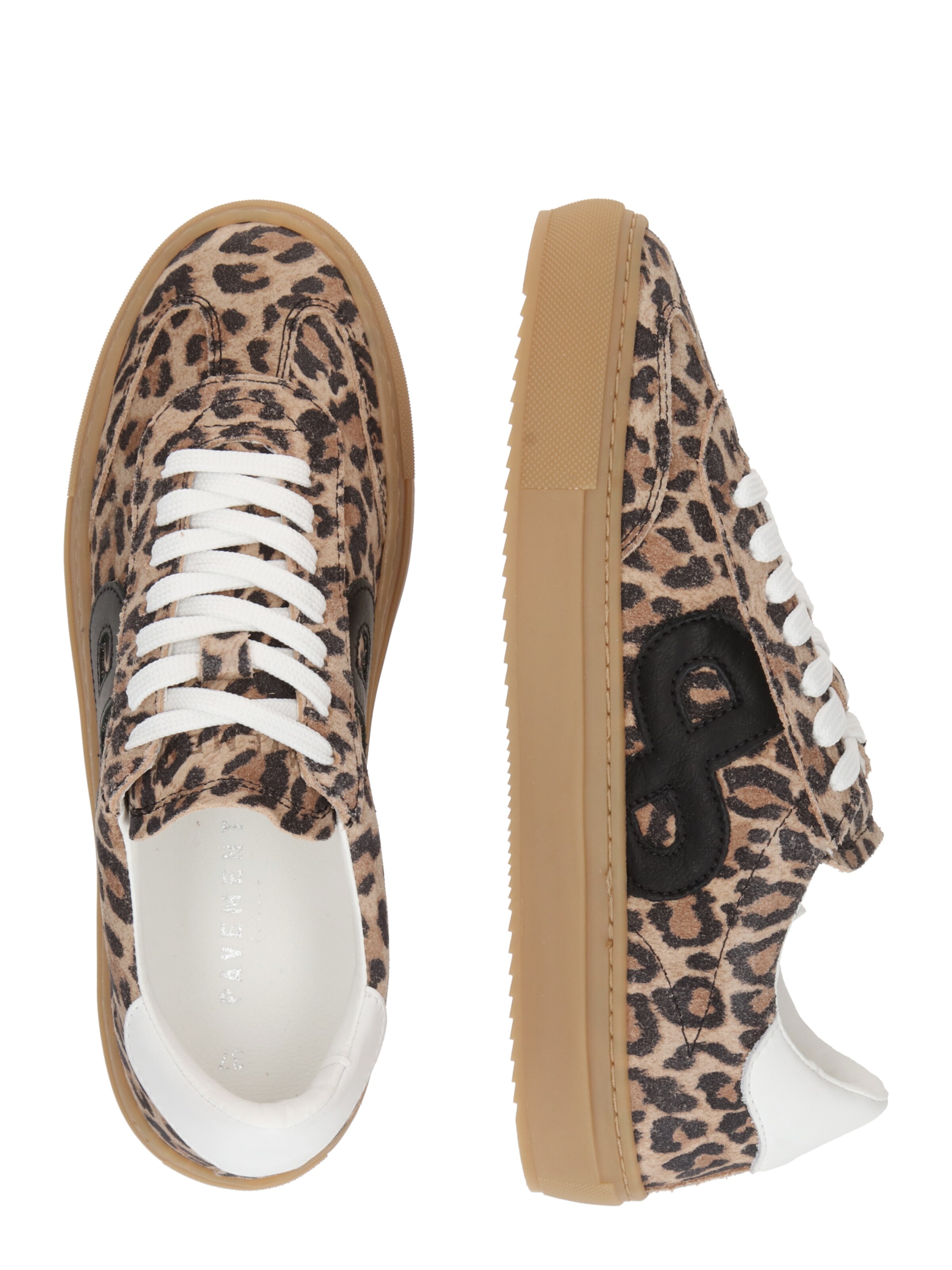 PAVEMENT Platform trainers 'Kohia' in Brown