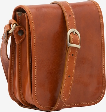 Viola Castellani Crossbody Bag in Brown: front