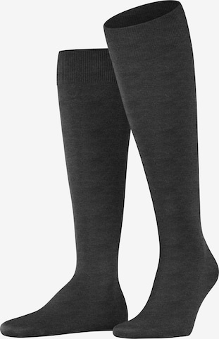 FALKE Knee High Socks 'ClimaWool' in Grey: front