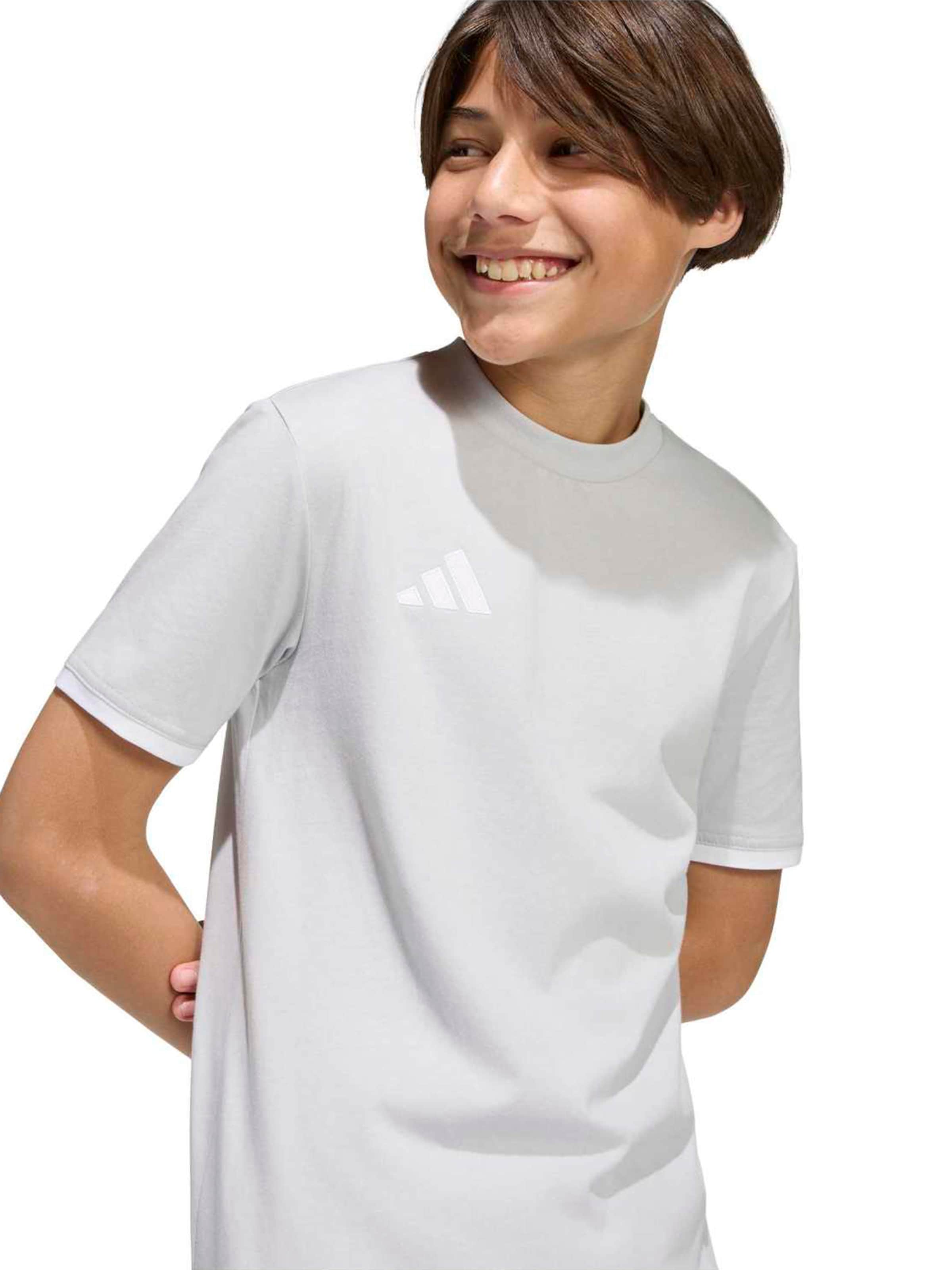 ADIDAS PERFORMANCE - Camiseta funcional 'ENT26' en gris