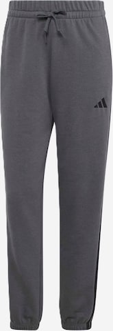 ADIDAS SPORTSWEAR Sporthose 'Essentials' in Grau: Vorderseite