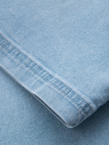 Ombre regular Jeans i blå