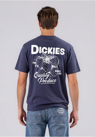 Maglietta 'Berryfield' di DICKIES in blu: frontale