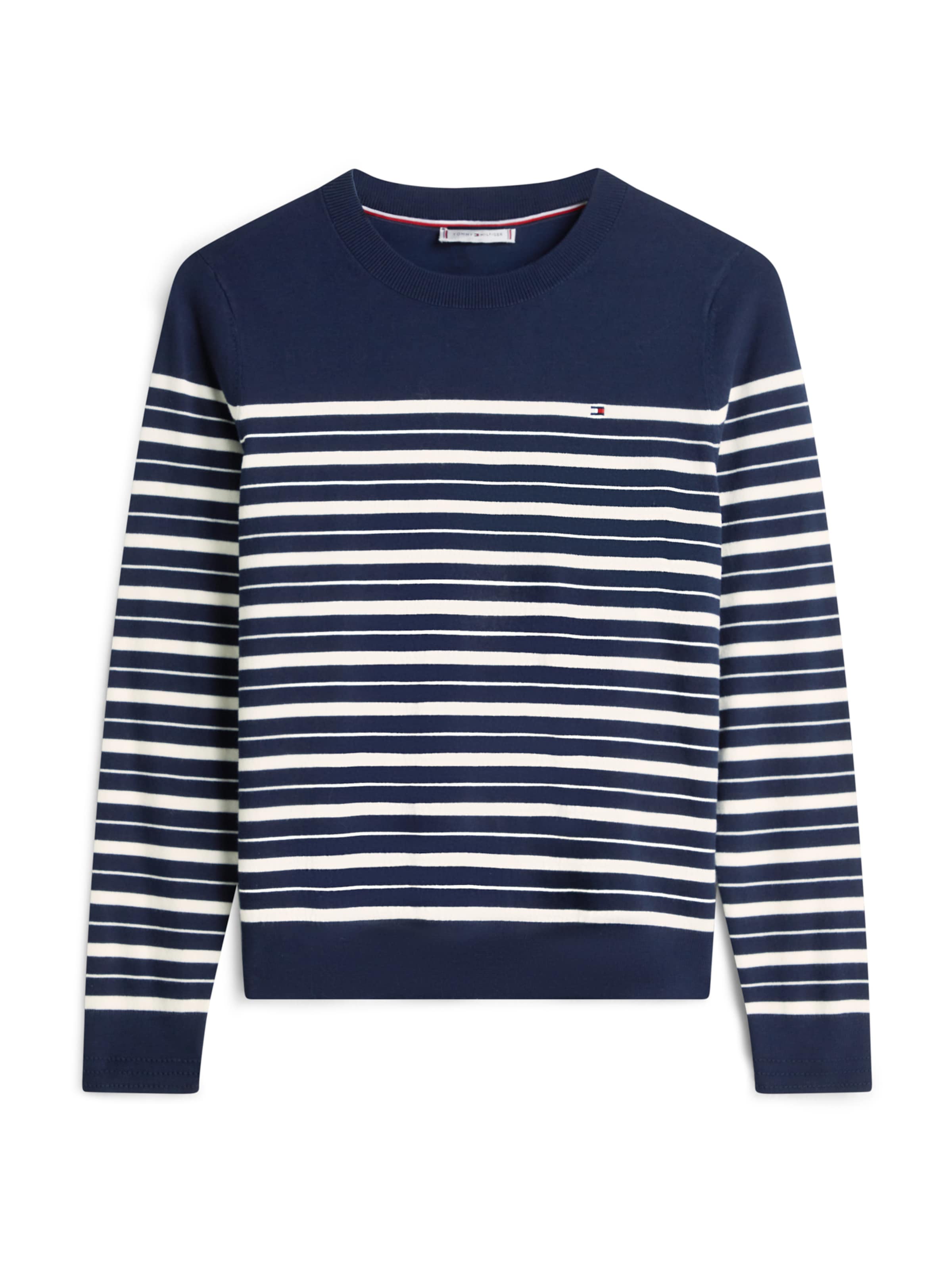 TOMMY HILFIGER Sweater in Blue: front