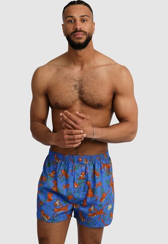 Lousy Livin Boxer shorts in Blue