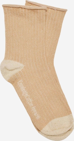 KnowledgeCotton Apparel Socks ' Lurex glitter rib socks ' in Beige: front