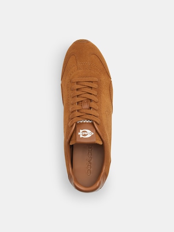 COACH Sneakers in Brown