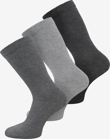 normani Socken in Grau: predná strana