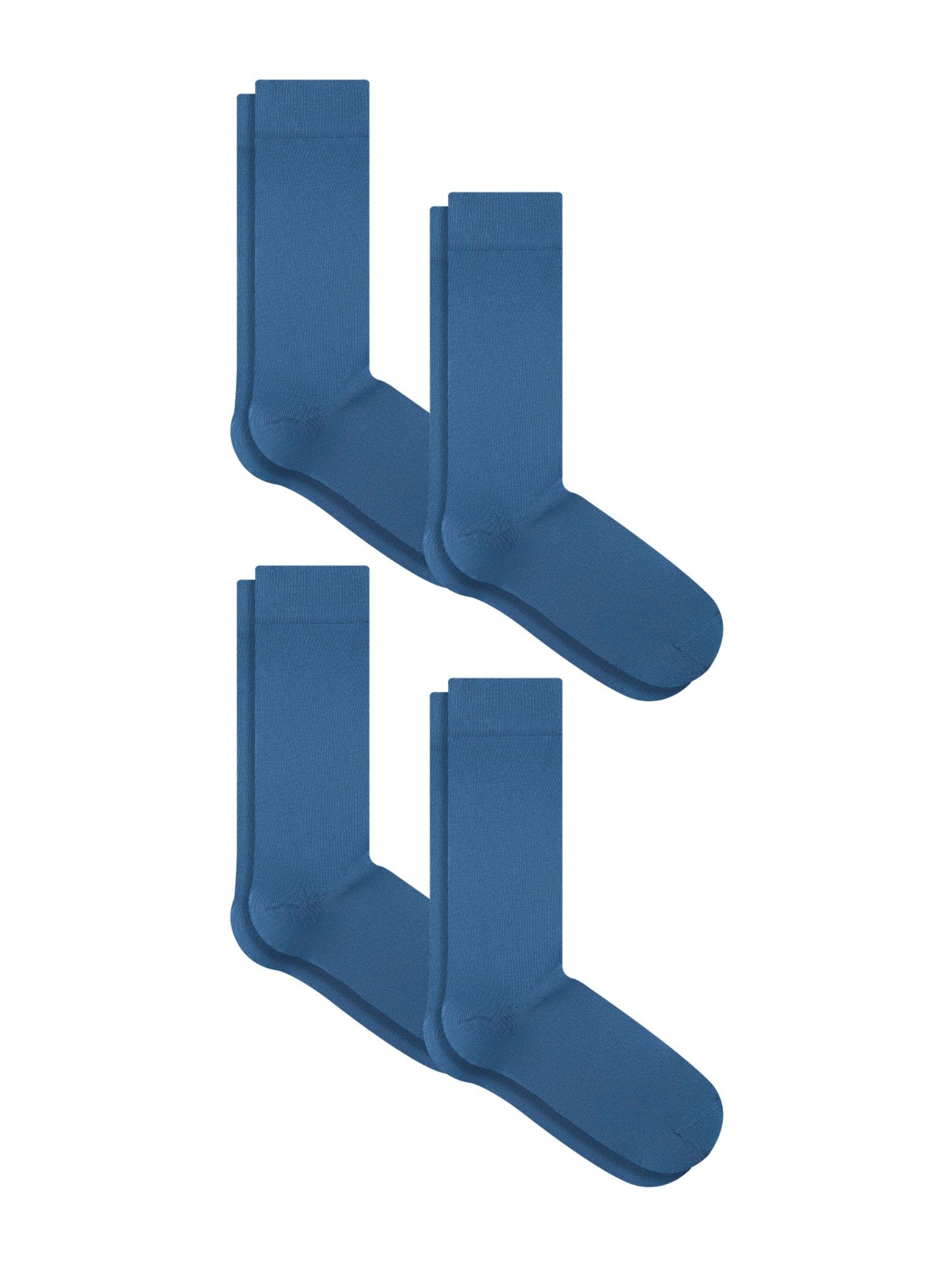 Albero Natur Socks 'Classic' in Blue: front