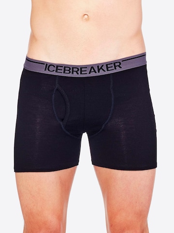 ICEBREAKER Bokserid 'M Anatomica Boxers wFly', värv must