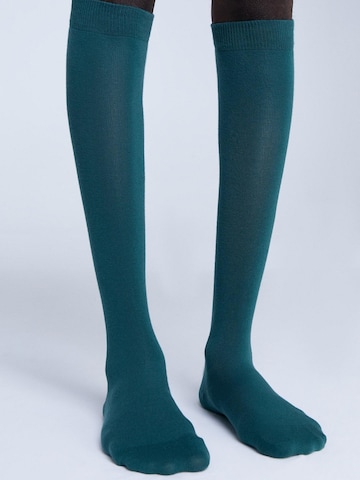 Albero Natur Knee High Socks in Green