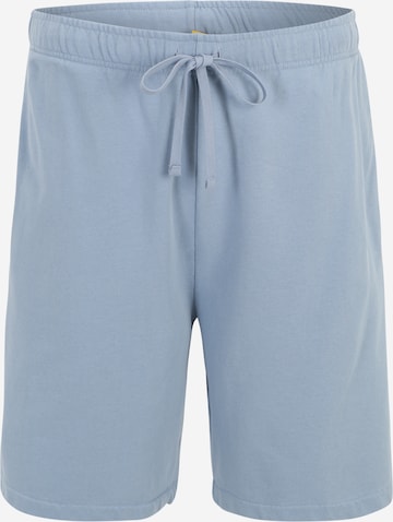 Polo Ralph Lauren Big & Tall Regular Broek 'M8-ATHLETIC' in Blauw: voorkant