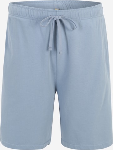 Regular Pantaloni 'M8-ATHLETIC' de la Polo Ralph Lauren Big & Tall pe albastru: față
