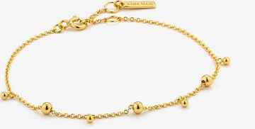 ANIA HAIE Armband in Gold