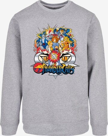 ABSOLUTE CULT Sweatshirt 'Thundercats' in Grey: front