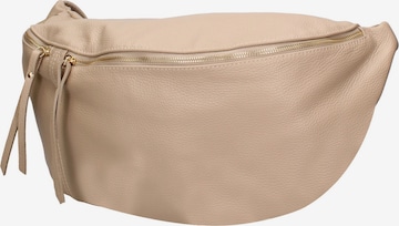 Gave Lux Shoulder Bag in Brown: front