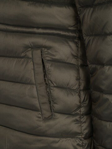 Only Tall - Chaqueta de entretiempo 'ONLVEGA' en verde