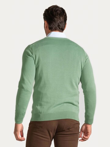 Jacey Quinn Pullover in Grün