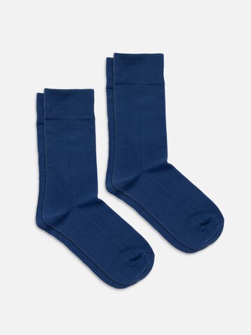 DillySocks Socks 'D-Compose 2er Set' in Blue