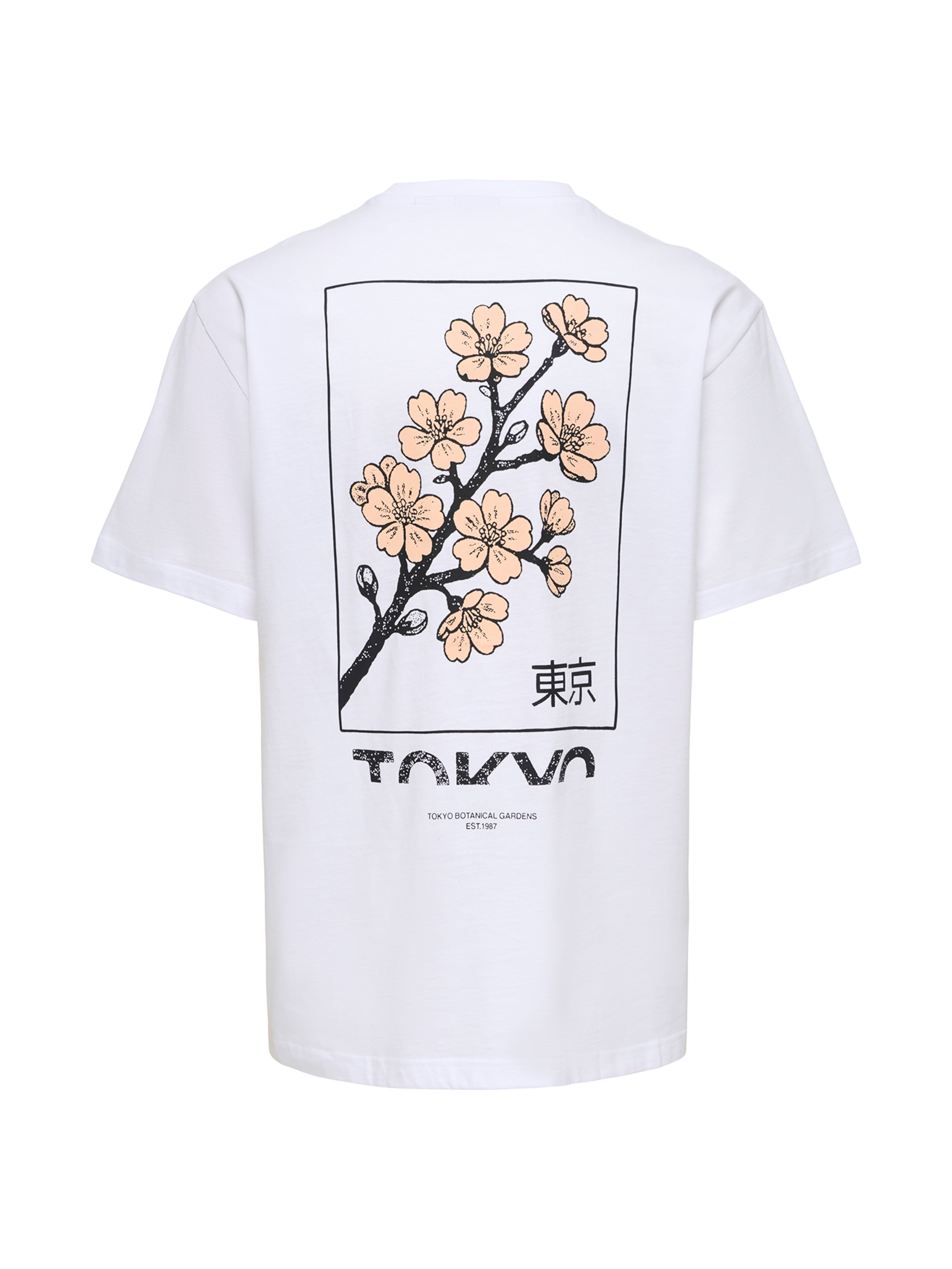 Only & Sons T-shirt 'ONSFRED' i vit