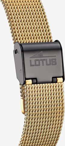Lotus Uhr in Gold