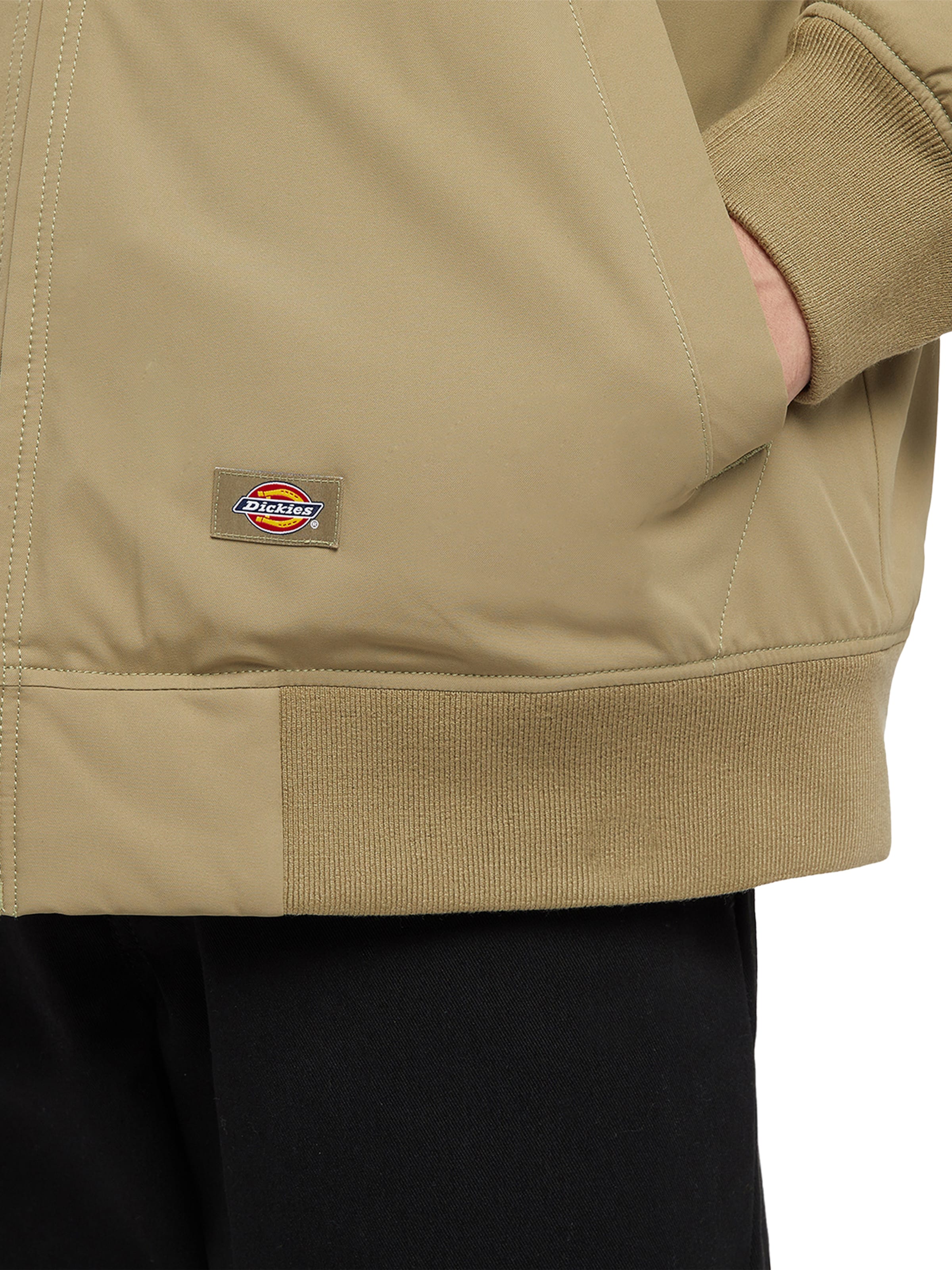 DICKIES Kurtka przejściowa w kolorze zielony