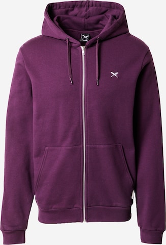 Iriedaily Zip-Up Hoodie 'Mini Flag 2' in Purple: front