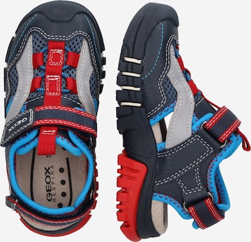 GEOX Sandals & Slippers in Blue