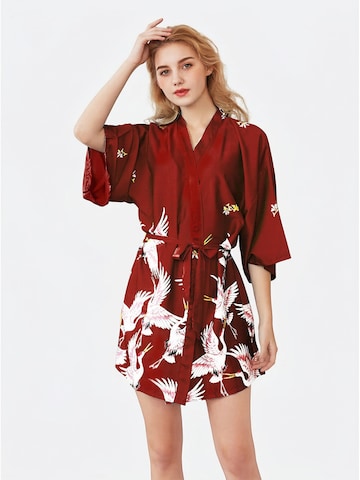 Vivi Idee Dressing Gown 'Nachthemd' in Red
