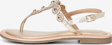 Sandalo di CAFè NOIR in oro: frontale