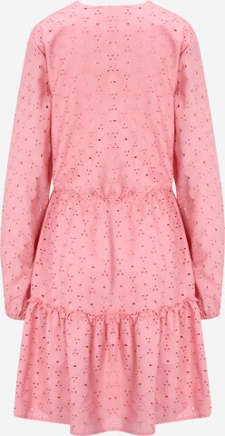 Dorothy Perkins Tall Kleid 'Broderie' in Pink