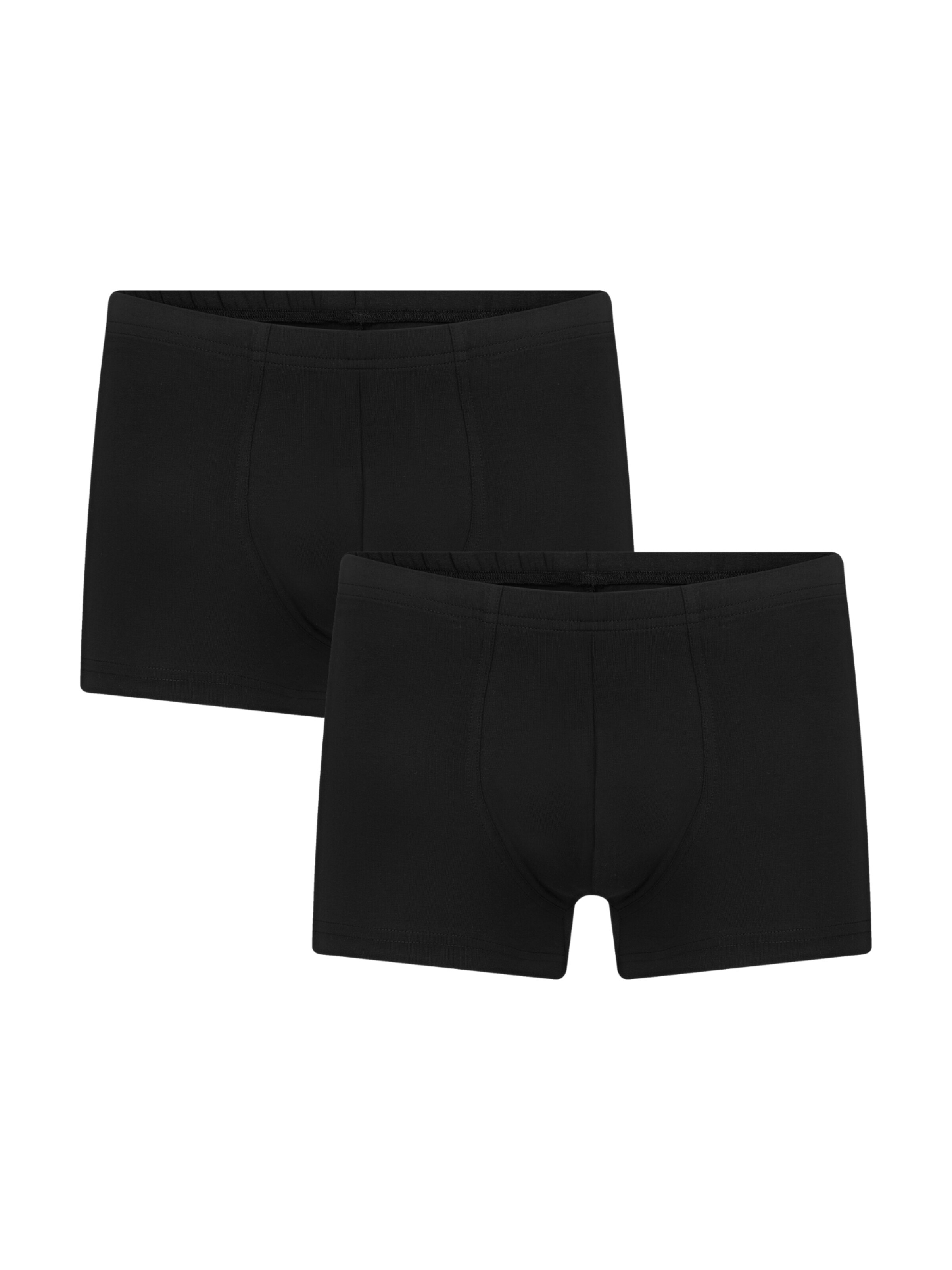 Albero Natur Boxer shorts 'Bio-Baumwoll-Herren Retroshorts -2er Pack' in Black: front