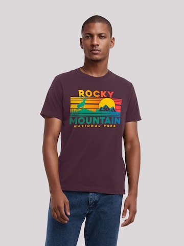 T-Shirt F4NT4STIC en marron : devant