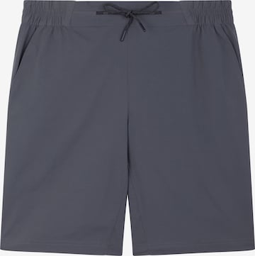 Berghaus Regular Pants in Grey: front