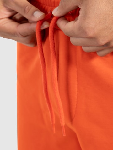 Loosefit Pantalon de sport ' Edin ' Smilodox en orange