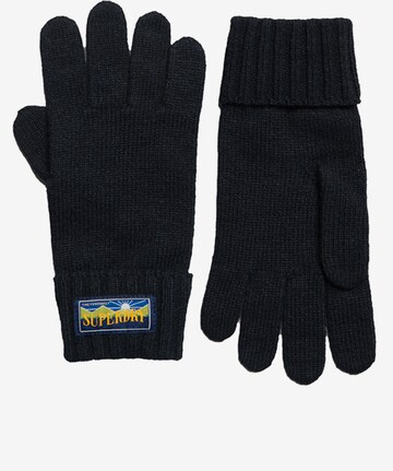 Superdry Full Finger Gloves in Blue: front
