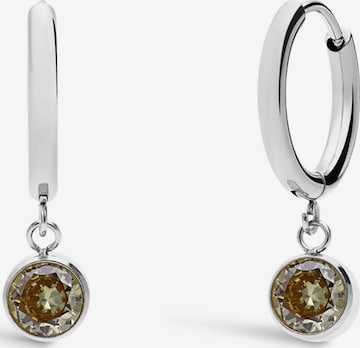 Boucles d'oreilles Lucardi en argent : devant