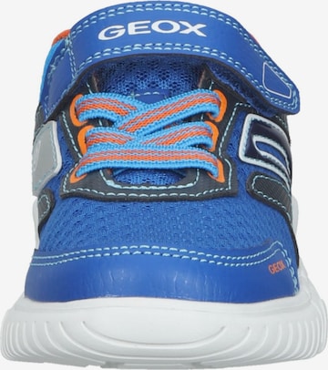 Baskets GEOX en bleu