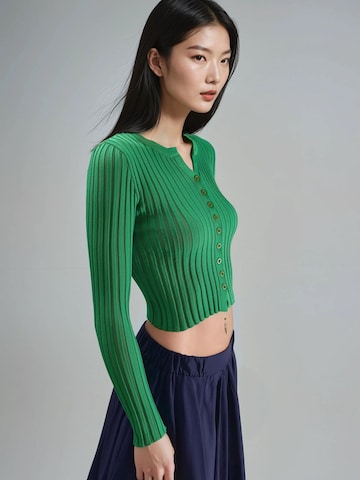 Pullover 'Pullover' di My fashion in verde