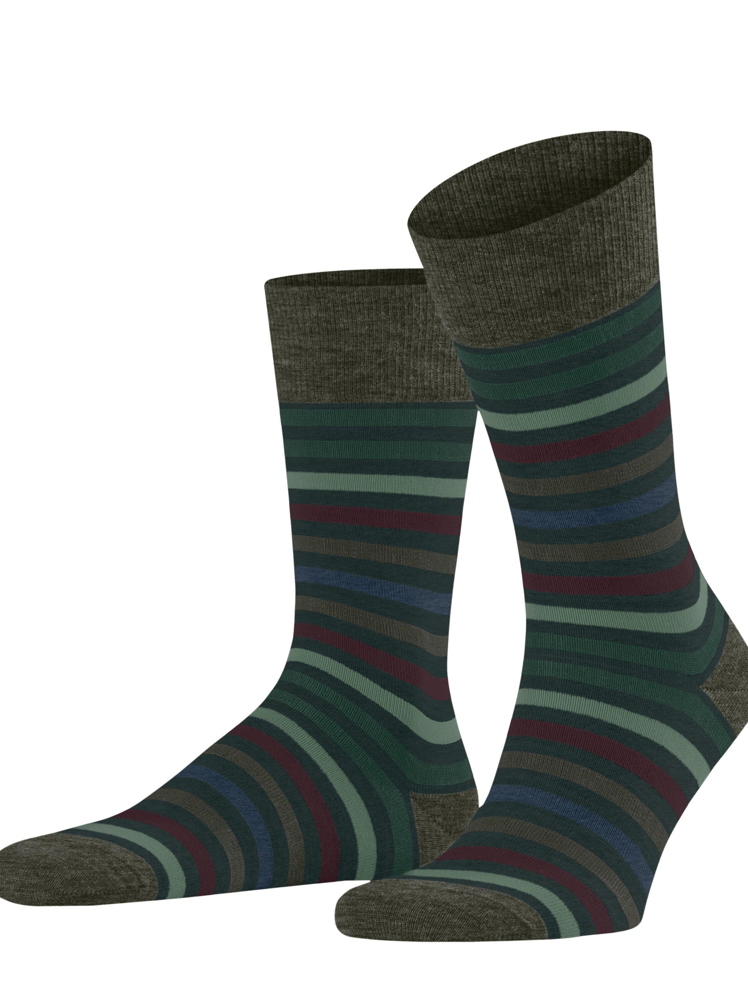 FALKE Socks 'Tinted Stripe' in Green: front