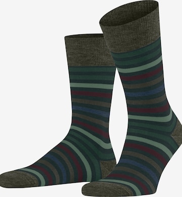FALKE Socks 'Tinted Stripe' in Green: front