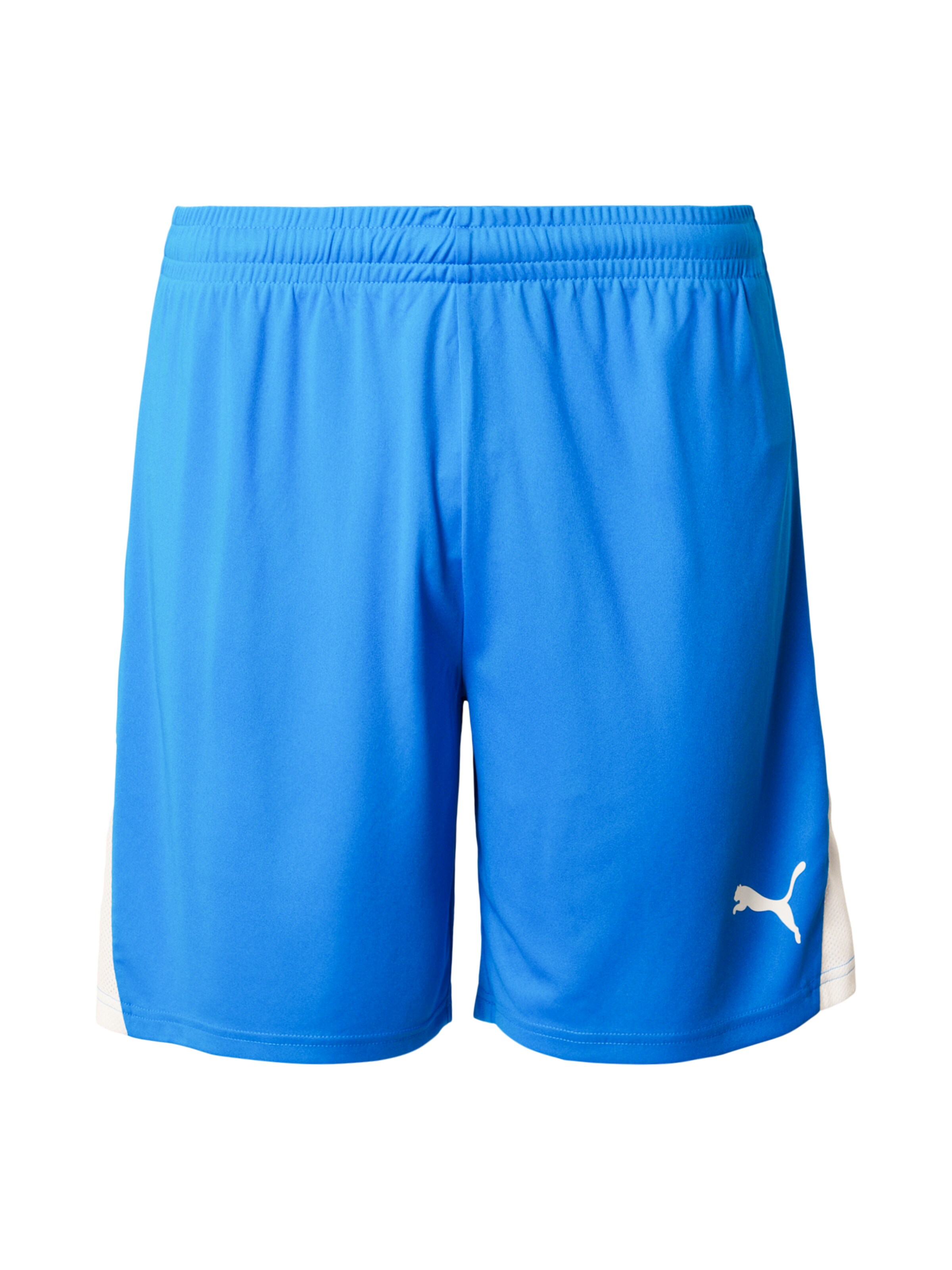 PUMA Παντελόνι φόρμας 'TeamLIGA26' σε μπλε: μπροστά